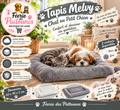 🐾🛏️ Tapis Melvy – Chat & Petit Chien (Blanc ou Gris)