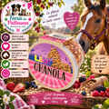 🍇🐴 Likit Granola – Bloc à Lécher Baies Mélangées (550 g)