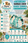 🐶 Harnais Rando Summer – Turquoise (Tailles XS • S • M • XL)