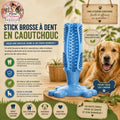 🐶 Stick Brosse à Dent en Caoutchouc TPR – Hygiène Dentaire & Jeu (12,6 cm)
