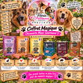 🐶🎁 Coffret Magique – Découverte Maxi Gourmand