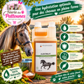 ⚡🐴 Waldhausen – Électrolyte Liquide (1 L)