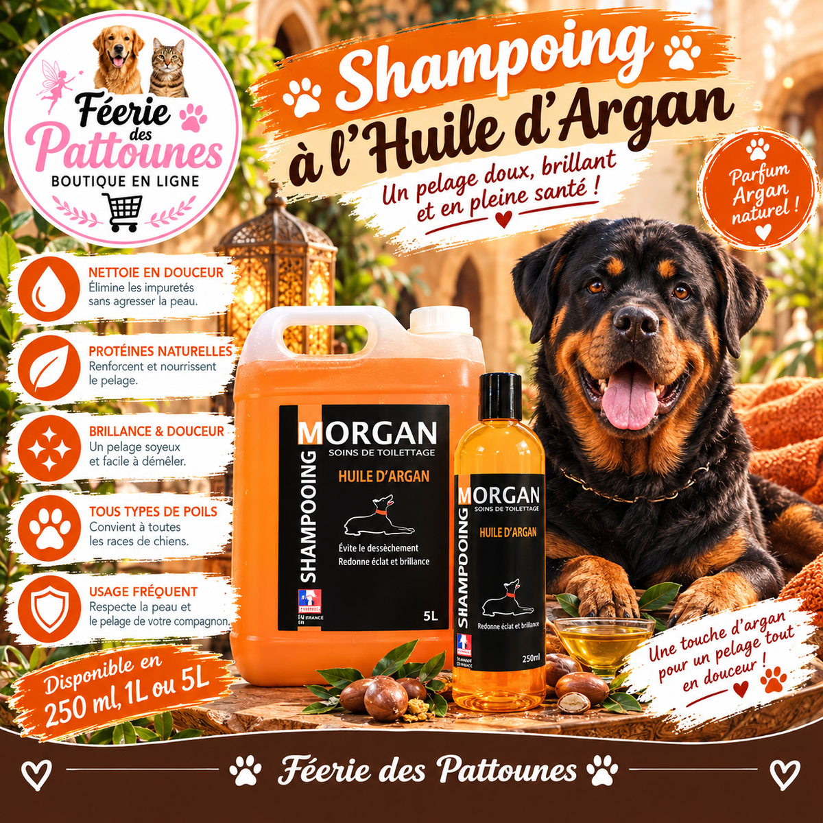 🐾✨ Shampoing Morgan – Huile d’Argan (250 ml • 1 L • 5 L)