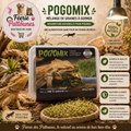 🌿🦎 Pogomix – Mélange de Graines à Germer pour Pogona