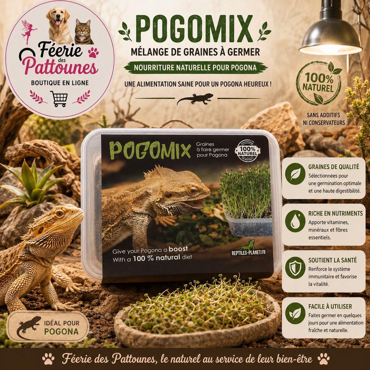 🌿🦎 Pogomix – Mélange de Graines à Germer pour Pogona