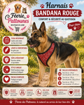 🔴🐶 Harnais Tee‑shirt Bandana – Rouge (Tailles XS • S • M)
