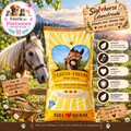 🌞🐴 Siglhorse – Lebensfreude “Joie de vivre” (20 kg)