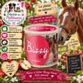 🍏🐴 Bizzy Horse – Pierre à Lécher Goût Pomme (1 kg)