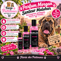 🍬✨ Parfum Morgan – Senteur Malabar (60 ml • 250 ml • 1 L)