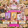 🐶🍼🎁 Coffret Magique – Découverte Chiot Mini