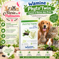 🍃🐾 Wamine Phyto’Twin – Sureau & Réglisse – 30 capsules