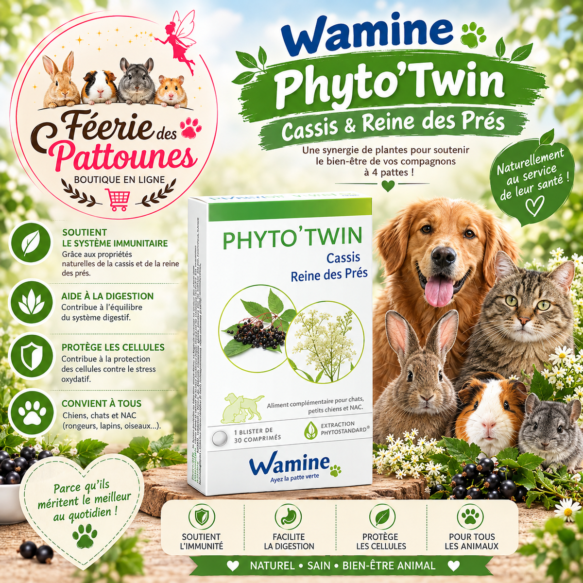 🍃🐾 Wamine Phyto’Twin – Sureau & Réglisse – 30 capsules