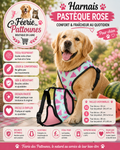 🌸🍉🐶 Harnais Tee‑shirt Pastèque – Rose (Tailles XS • S • M)