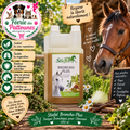 🌬️🐴 Stiefel – Broncho‑Plus Tonique Bronchique (1000 ml)