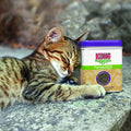🌿 Herbe à Chat KONG® Naturals Premium Catnip – 56,7 g