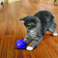 🐾 KONG® Treat Dispensing Ball – Balle Distributrice de Friandises pour Chat
