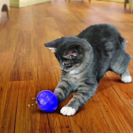 🐾 KONG® Treat Dispensing Ball – Balle Distributrice de Friandises pour Chat